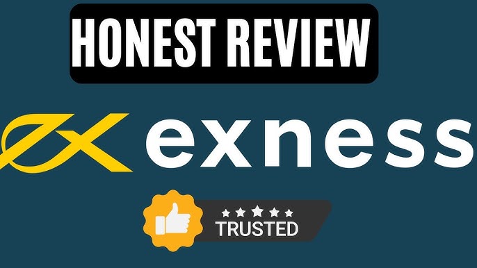 Understanding the Exness Professional Forex Account