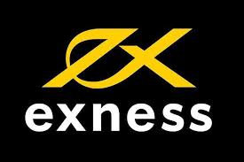 Understanding the Exness Professional Forex Account