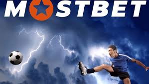 Best sports betting apps for you in 2023 Best sports betting apps for you in 2023
